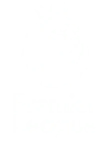 Premier League on APOLLO IPTV free trial